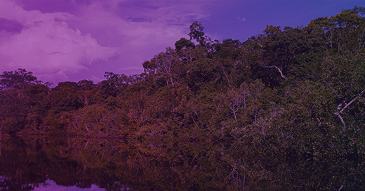 Conheça negócios de impacto com soluções para os grandes desafios ambientais