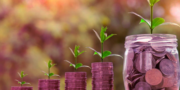 Investimentos ESG e de Impacto: qual a diferença?