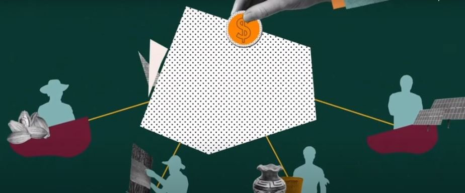 O que a Terraformation nos ensina sobre investimento em cleantechs