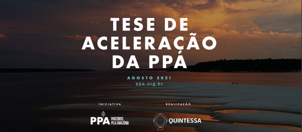 Aceleração de negócios de impacto na Amazônia: contexto e oportunidades