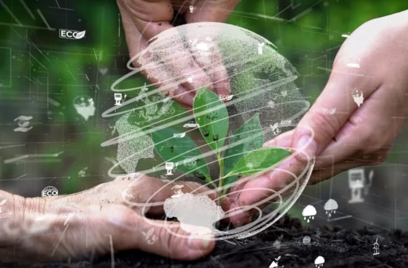 Mercado de carbono se torna tendência para empresas pós COP26