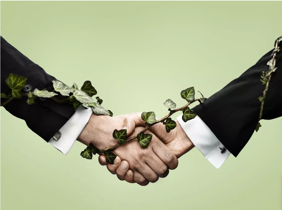 Semana do Meio Ambiente: 7 temáticas sustentáveis que empresas podem se engajar