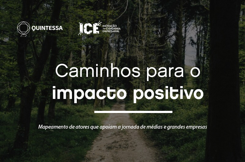 Mapeamento Caminhos para o Impacto Positivo | Quintessa e ICE