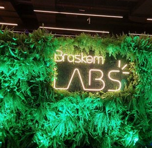 Conheça 20 startups de impacto aceleradas pelo BraskemLabs | Programa de Inovação Aberta da Braskem